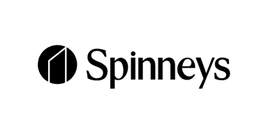 Icon 13